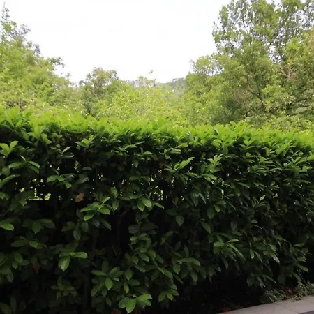 With A Parking Space Moscenicka Draga, Opatija - 7740